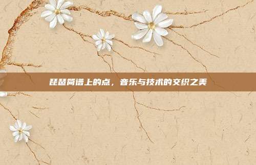 琵琶简谱上的点,音乐与技术的交织之美