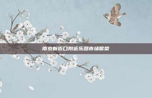 南京新街口附近乐器市场繁荣