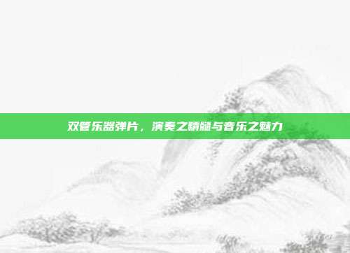 双管乐器弹片，演奏之精髓与音乐之魅力