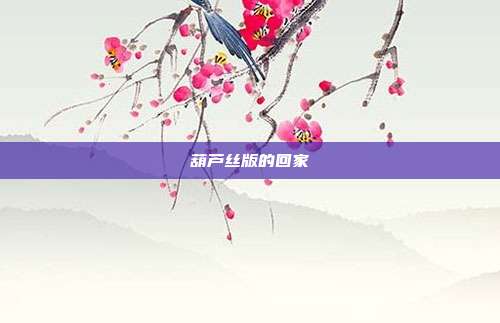 葫芦丝版的回家