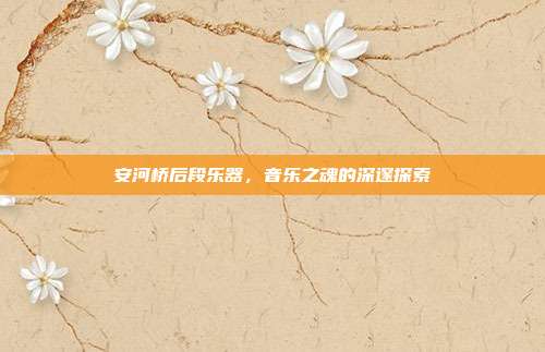 安河桥后段乐器，音乐之魂的深邃探索
