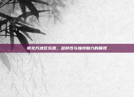 南北方地区乐器,多样性与独特魅力的展现