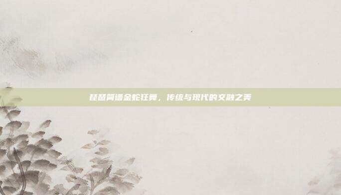 琵琶简谱金蛇狂舞,传统与现代的交融之美