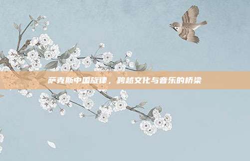 萨克斯中国旋律,跨越文化与音乐的桥梁