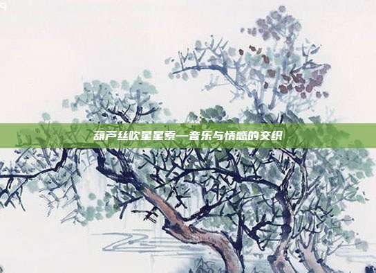 葫芦丝吹星星索—音乐与情感的交织