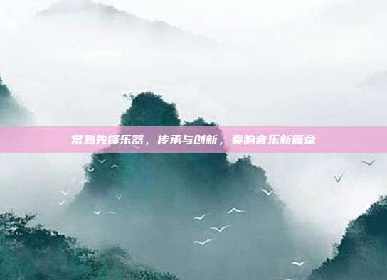常熟先锋乐器,传承与创新,奏响音乐新篇章