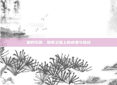 星野乐器，探索之路上的疲惫与挑战