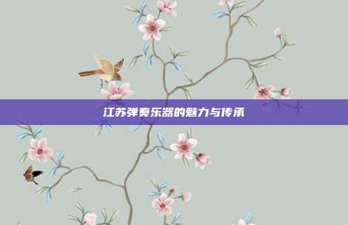 江苏弹奏乐器的魅力与传承