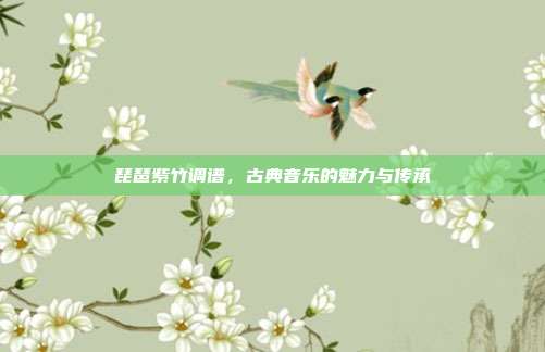 琵琶紫竹调谱，古典音乐的魅力与传承
