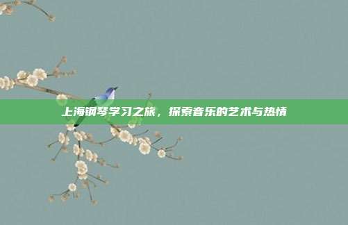 上海钢琴学习之旅，探索音乐的艺术与热情