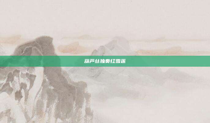 葫芦丝独奏红雪莲