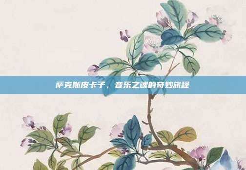 萨克斯皮卡子,音乐之魂的奇妙旅程