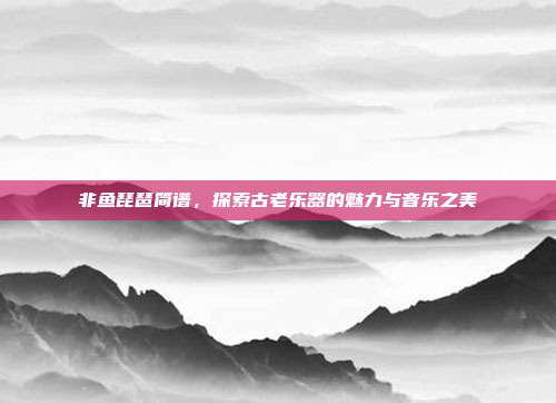非鱼琵琶简谱,探索古老乐器的魅力与音乐之美