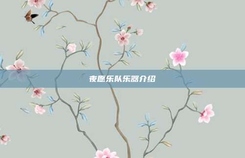 夜愿乐队乐器介绍