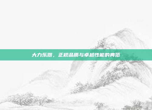 大力乐器,正规品质与卓越性能的典范