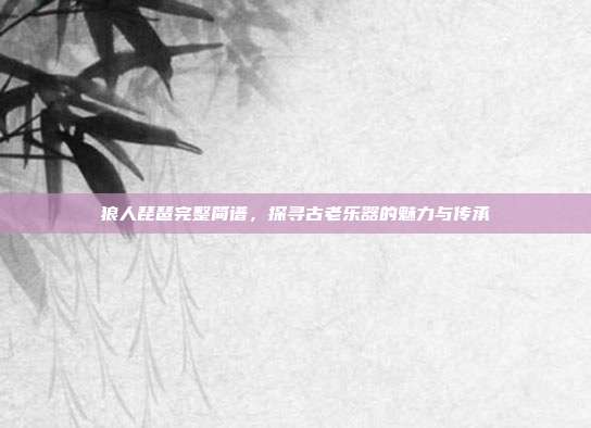 狼人琵琶完整简谱,探寻古老乐器的魅力与传承