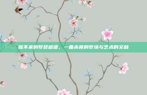醒不来的梦琵琶谱，一曲未竟的梦境与艺术的交融
