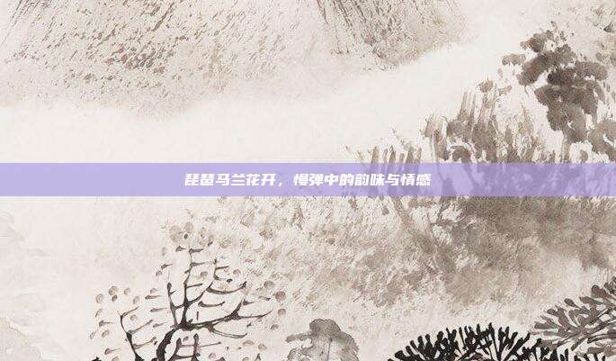 琵琶马兰花开,慢弹中的韵味与情感