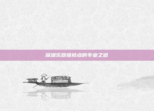 深圳乐器维修点的专业之道