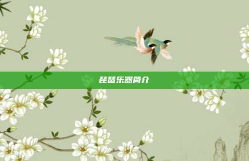 琵琶乐器简介