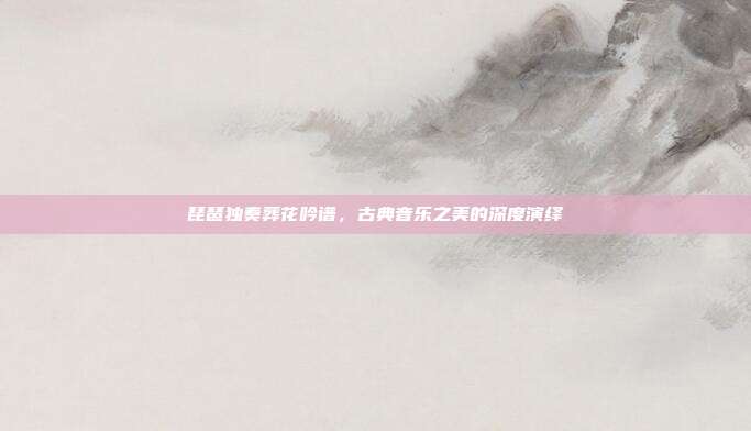 琵琶独奏葬花吟谱,古典音乐之美的深度演绎