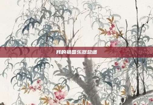 我的祖国乐器总谱