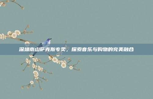深圳南山萨克斯专卖,探索音乐与购物的完美融合