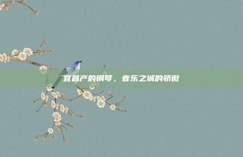 宜昌产的钢琴,音乐之城的骄傲