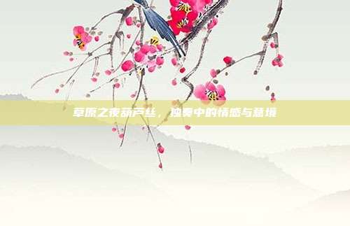 草原之夜葫芦丝,独奏中的情感与意境