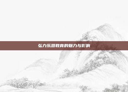 弘力乐器教育的魅力与影响