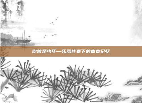 你曾是少年—乐器伴奏下的青春记忆