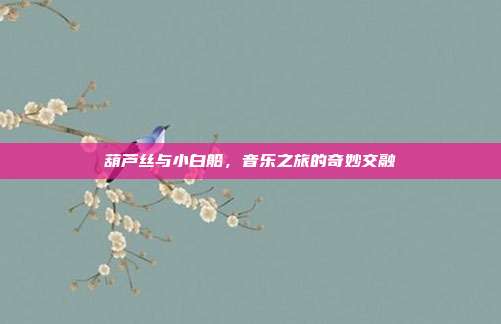 葫芦丝与小白船,音乐之旅的奇妙交融