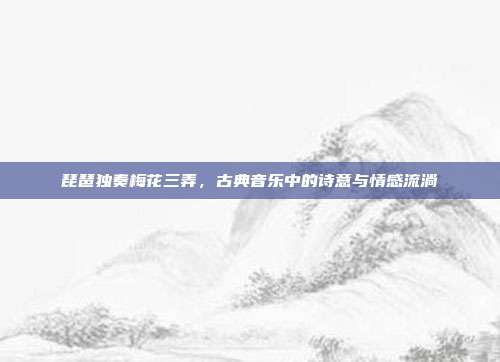 琵琶独奏梅花三弄,古典音乐中的诗意与情感流淌