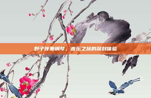 野子伴奏钢琴,音乐之旅的深刻体验
