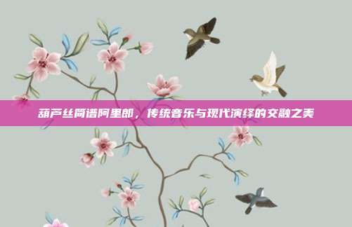 葫芦丝简谱阿里郎,传统音乐与现代演绎的交融之美