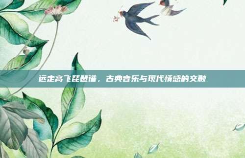 远走高飞琵琶谱,古典音乐与现代情感的交融