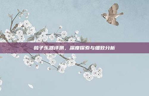 鸽子乐器评测,深度探索与细致分析