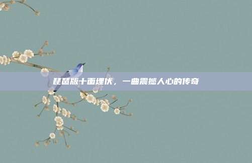 琵琶版十面埋伏,一曲震撼人心的传奇