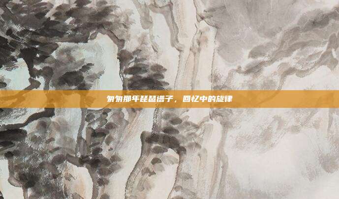 匆匆那年琵琶谱子,回忆中的旋律
