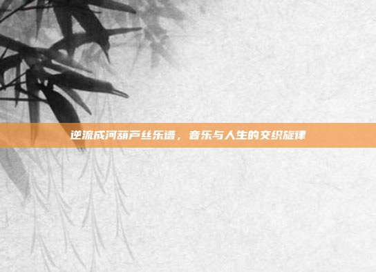 逆流成河葫芦丝乐谱,音乐与人生的交织旋律