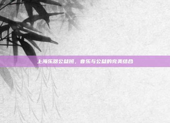 上海乐器公益班，音乐与公益的完美结合