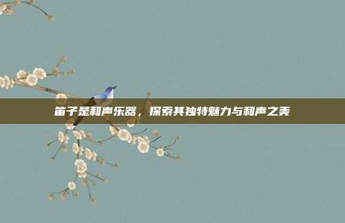笛子是和声乐器,探索其独特魅力与和声之美