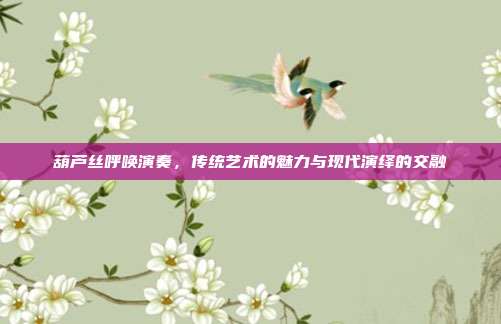 葫芦丝呼唤演奏,传统艺术的魅力与现代演绎的交融