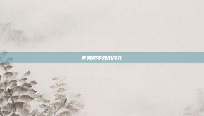 萨克斯李知讯简介
