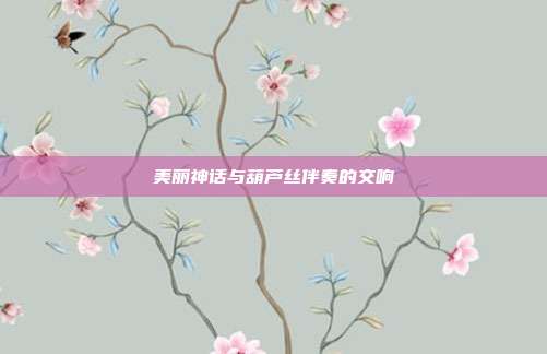 美丽神话与葫芦丝伴奏的交响