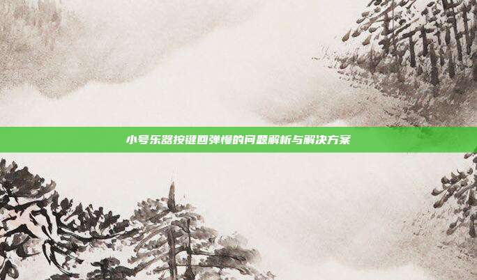 小号乐器按键回弹慢的问题解析与解决方案