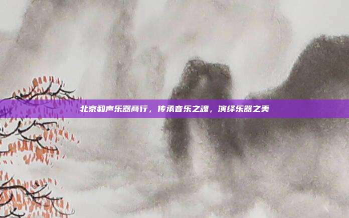 北京和声乐器商行,传承音乐之魂,演绎乐器之美