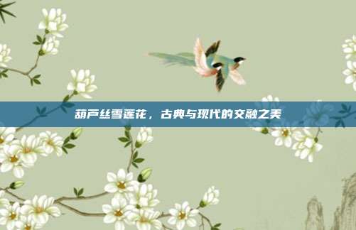 葫芦丝雪莲花，古典与现代的交融之美