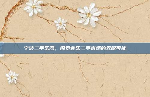 宁波二手乐器，探索音乐二手市场的无限可能