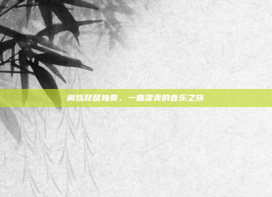 离殇琵琶独奏,一曲凄美的音乐之旅